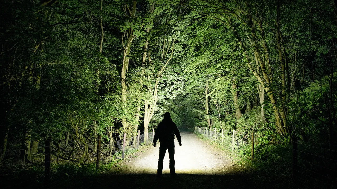 Mees kõnnib öösel metsateel